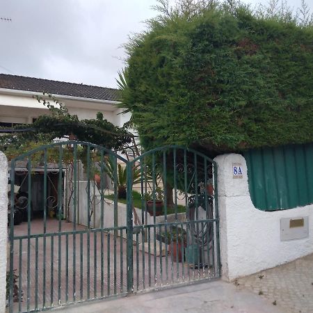 Maison d'hôtes Casa Dos Cedros à Setúbal Extérieur photo