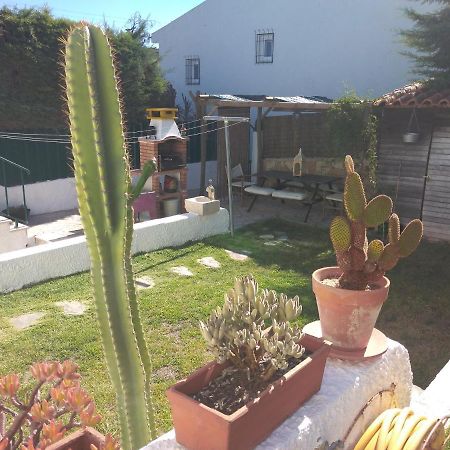 Maison d'hôtes Casa Dos Cedros à Setúbal Extérieur photo