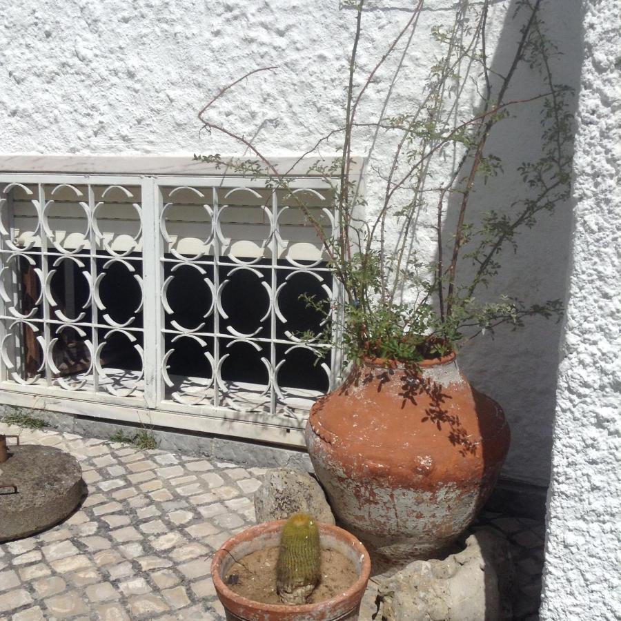 Maison d'hôtes Casa Dos Cedros à Setúbal Extérieur photo