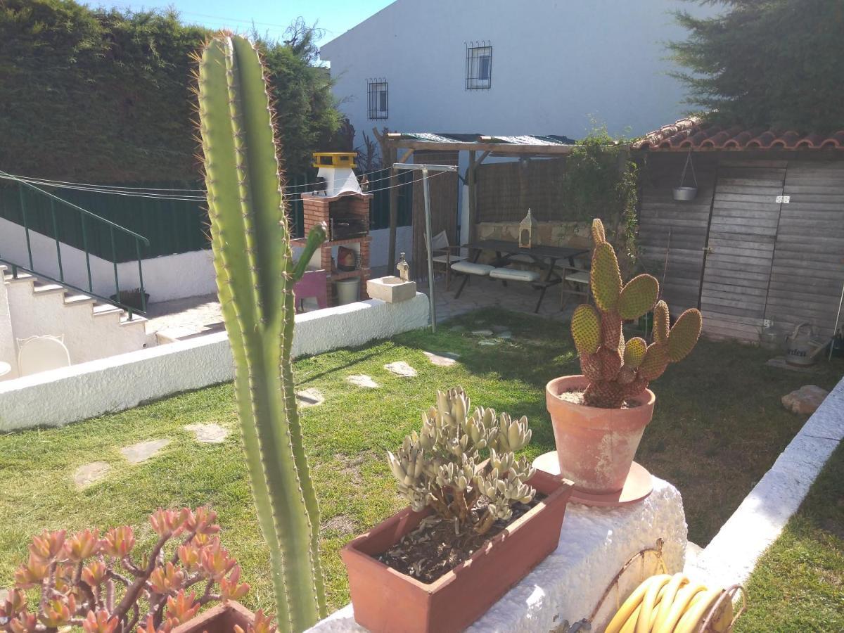 Maison d'hôtes Casa Dos Cedros à Setúbal Extérieur photo